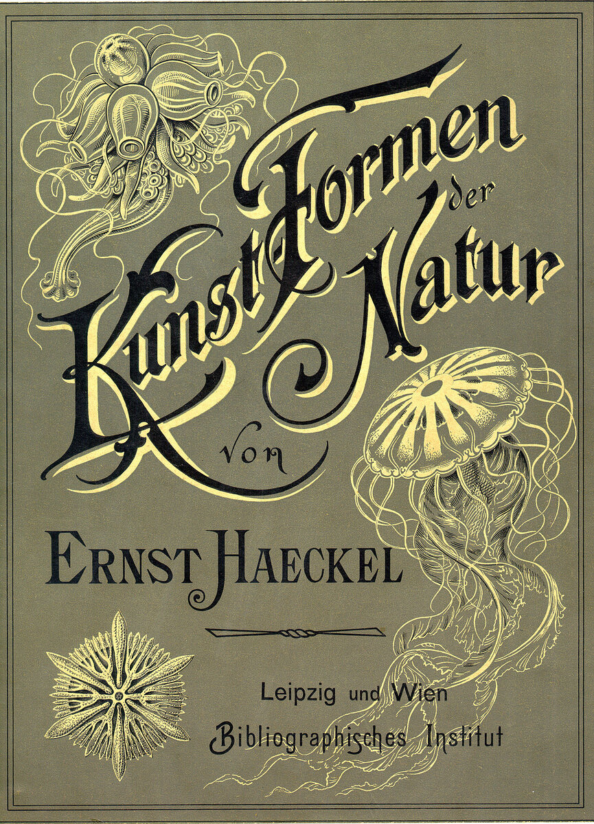 Обложка книги «Красота форм в природе» Эрнста Геккеля, издание 1904 года