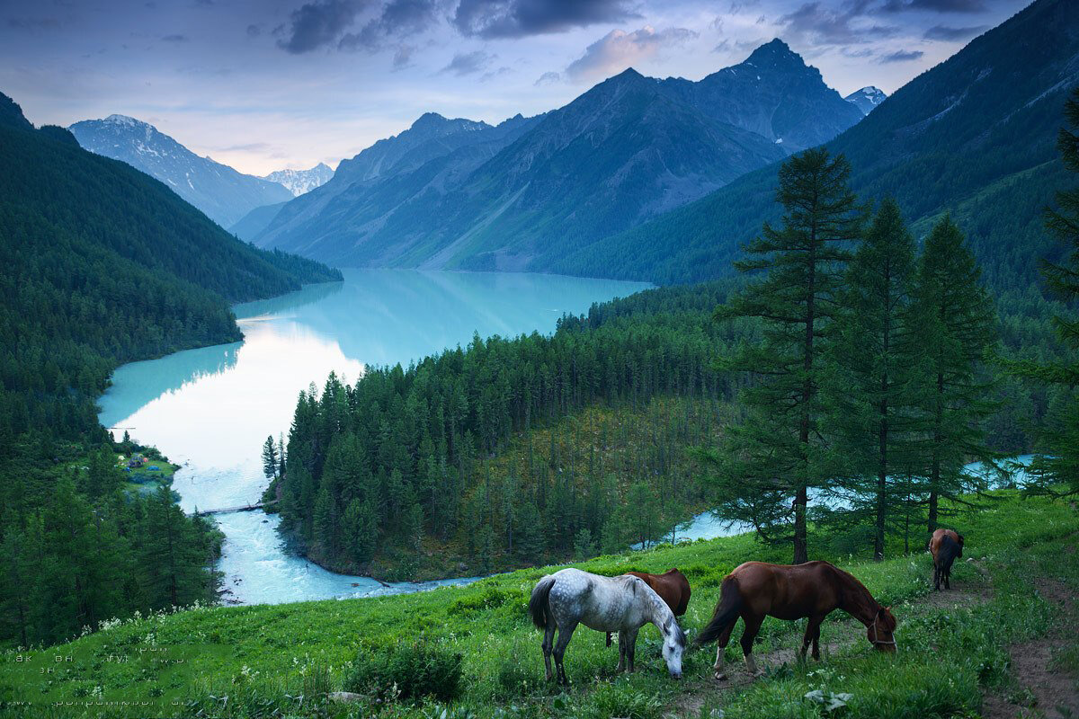 Самые красивые места алтайского края