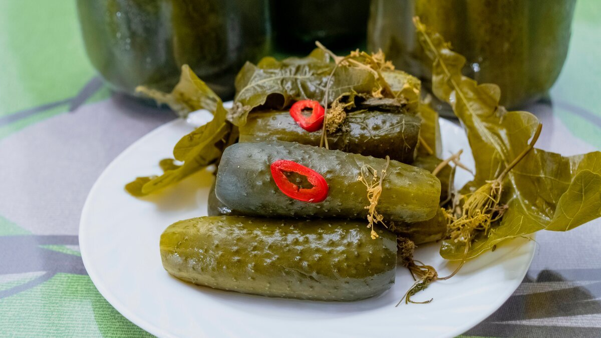 Изображение было взято с Яндекс.Картинок