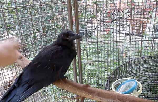 Источник фото: youtube.com 