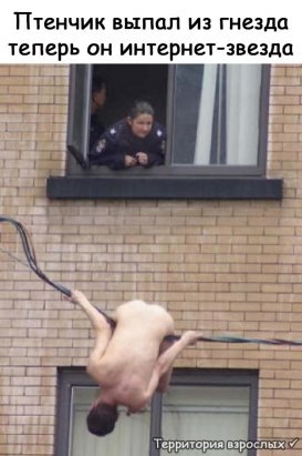  Территория взрослых 