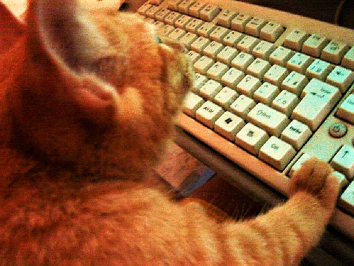 (Фотография из свободного доступа "Яндекс-картинки")