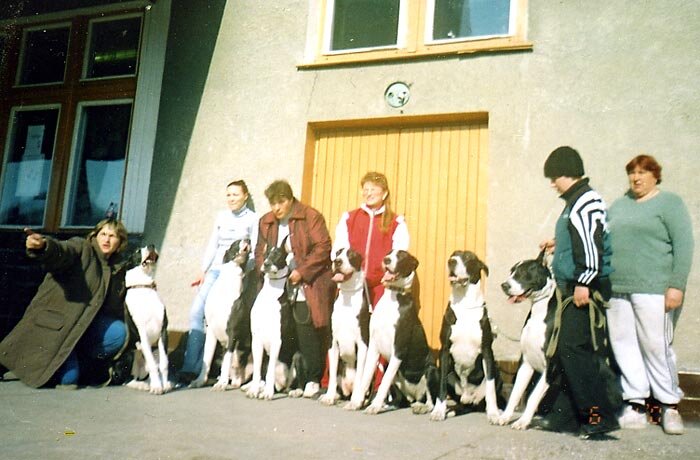 Лиля (в красной жилетке в центре) и доги её разведения.