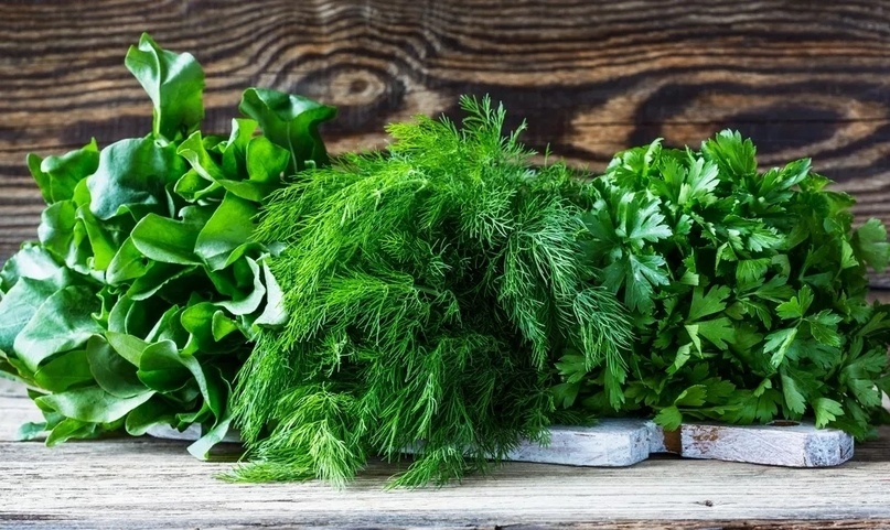 Подсказка: зелень) Фото взято из интернета