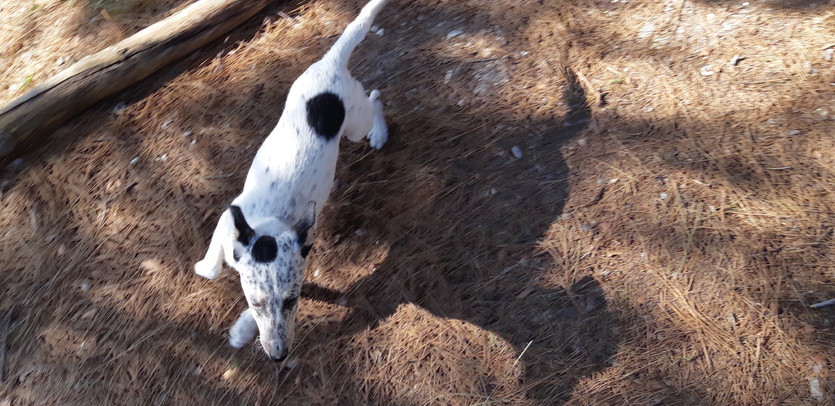 Фото из личного архива