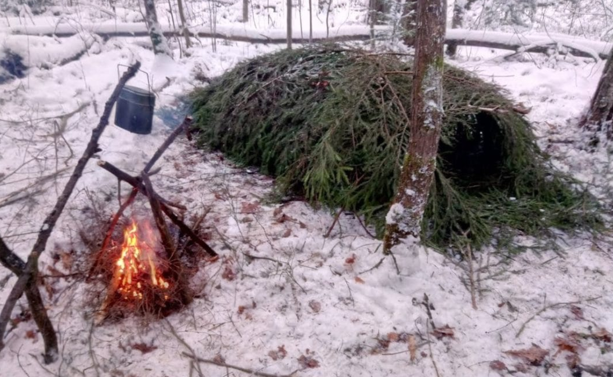 Выживание жилья укрытия в лесу