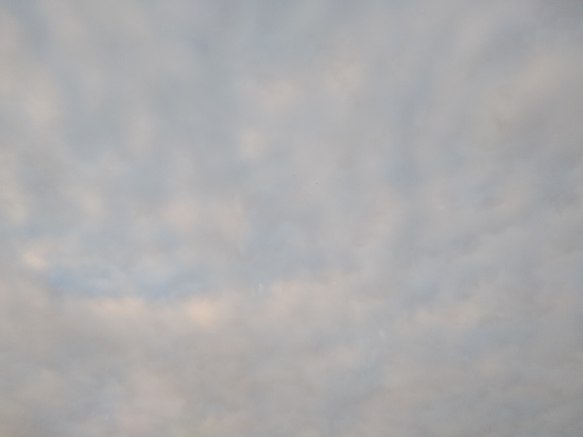 Фон.  Монетизация сайта.