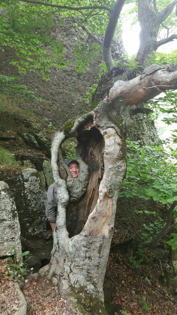 Это я балдею после прочтения ПОЛОЖЕНИЯ!!!