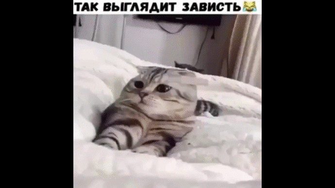 Черная зависть.