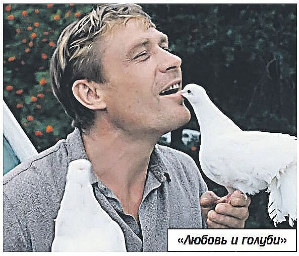 Александр михайлов любовь и голуби фото