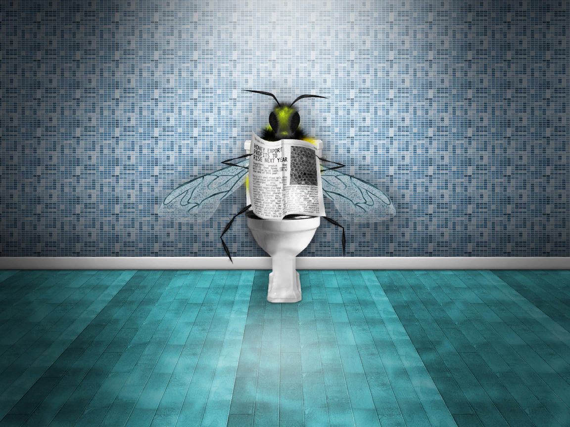 Пусть муха, но всё равно насекомое. Фото из интернета