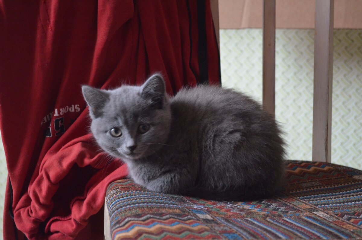 Наша девочка