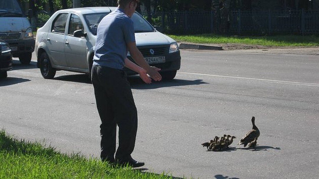 Источник: tver.kp.ru