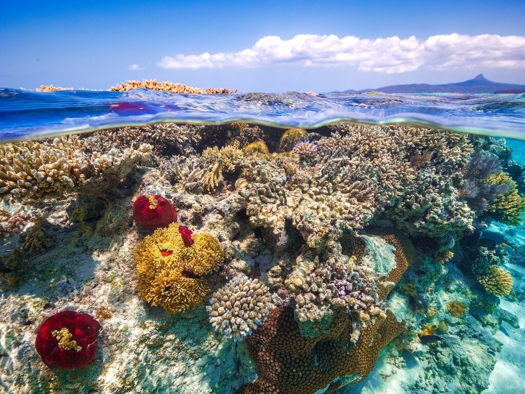 Источник: Яндекс. Картинки.