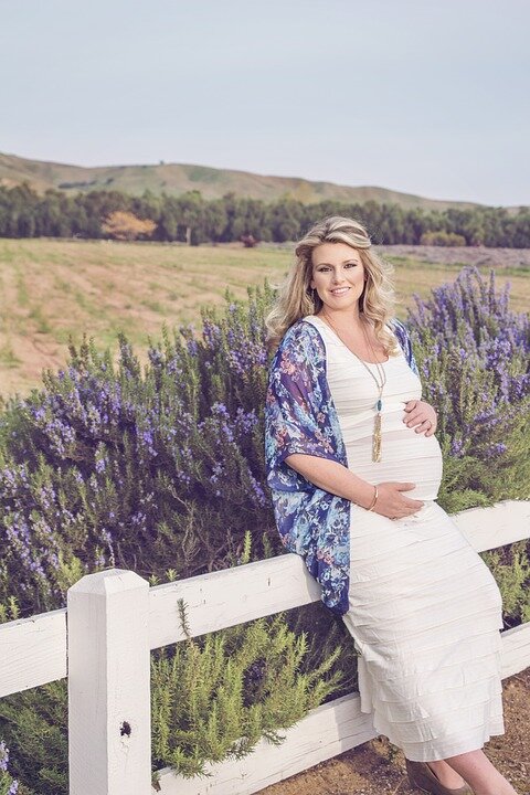 https://pixabay.com/photo/2015/07/03/20/21/maternity-830683_960_720.jpg