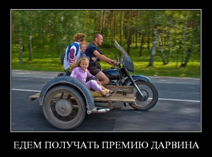 Какой русский не любит быстрой езды (без шлема)   Из  Яндекс Фотки