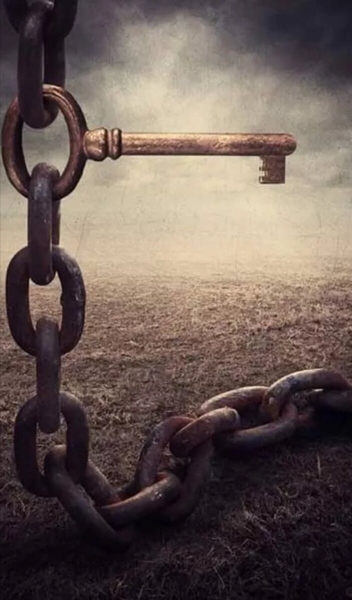 Фото из интернета 