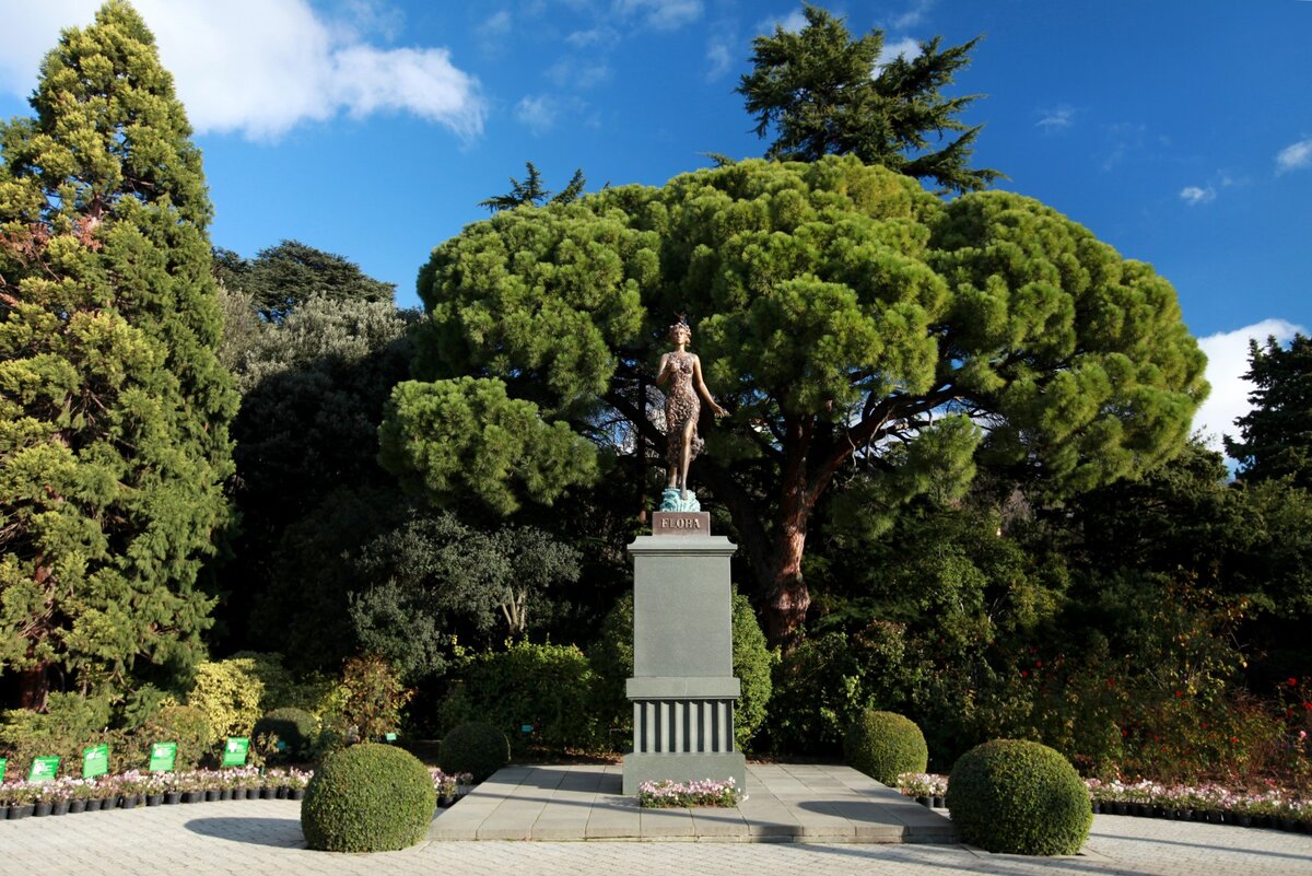 Ботанический сад ялта фото