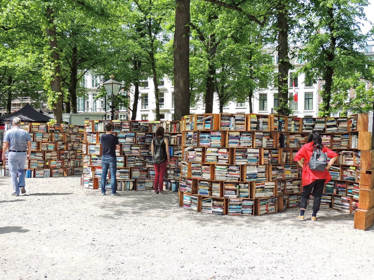 Получение образования - значительная часть нашей жизни