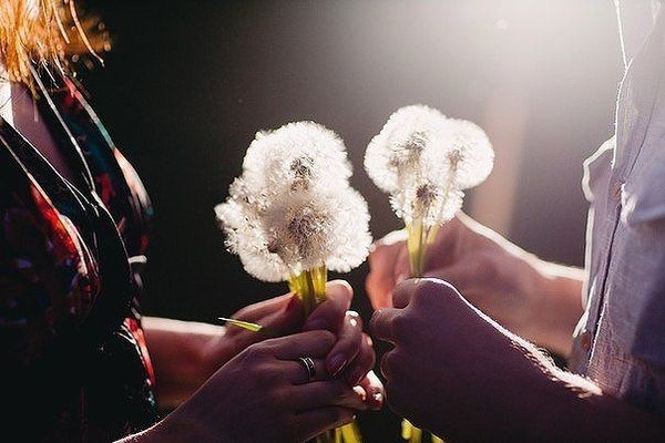 фото с сайта surprisse.com