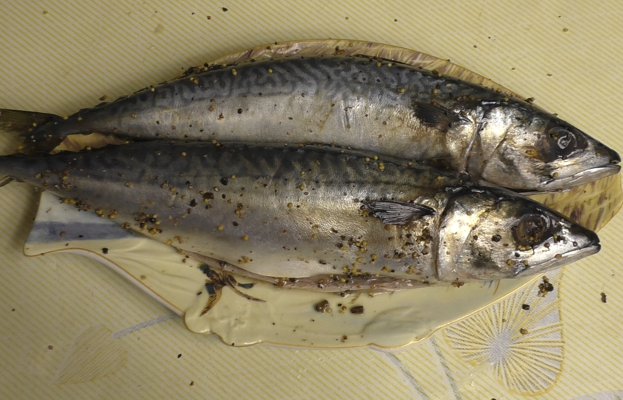 Скумбрия,Рецепт,FishermanDV27Rus,Рецепты27Rus,Fisherman DV. 27 Rus