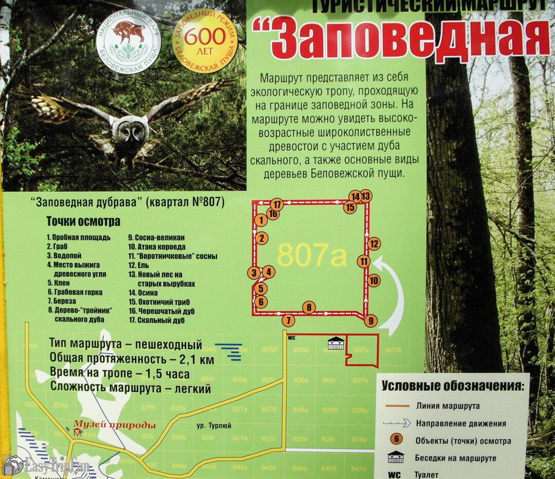 дубрава что это значит. дубрава это толковый словарь. дубрава презентация.