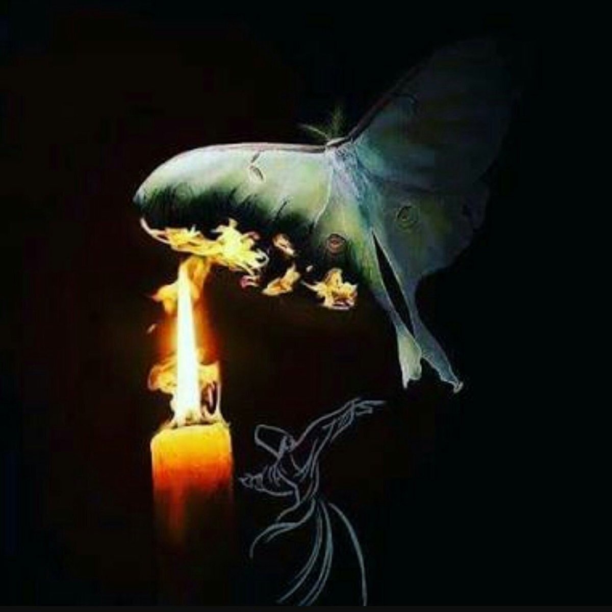 Фото с просторов интернета.