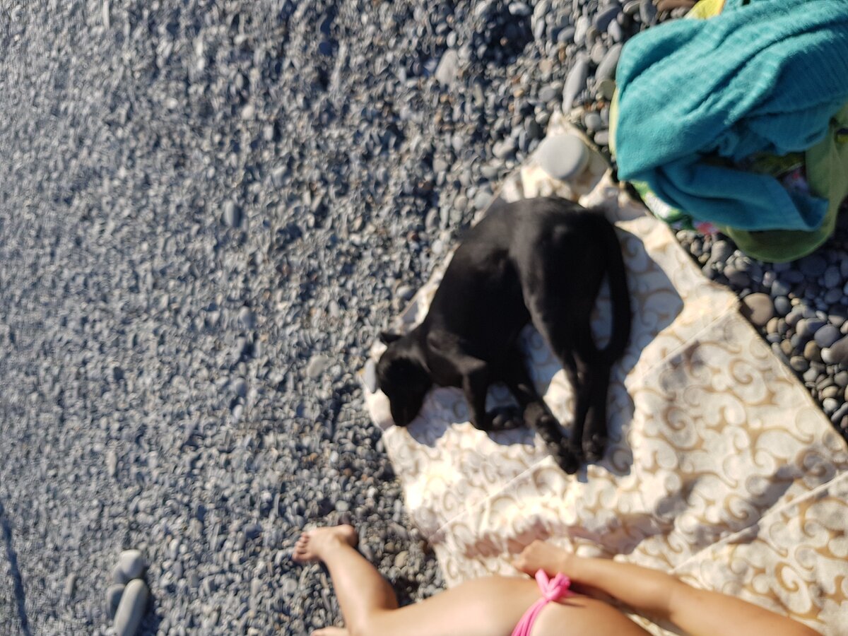 Любительница позагорать.