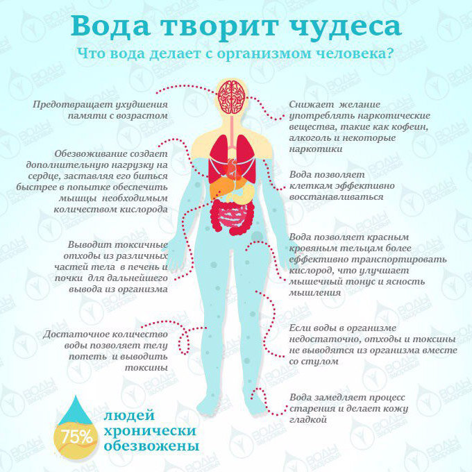 Влияние воды на организм 