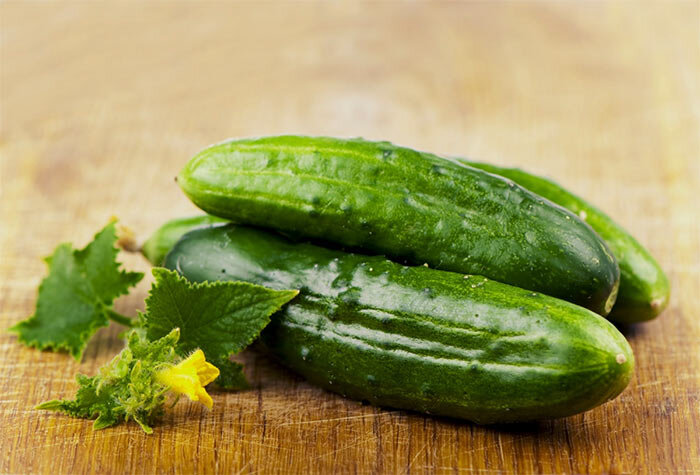 В настоящее время сорта огурцов, выведенных голландскими селекционерами, пользуются на нашем рынке большим спросом.