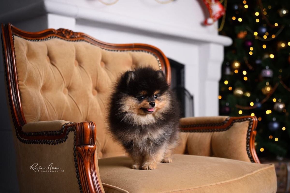 Фото из личного архива