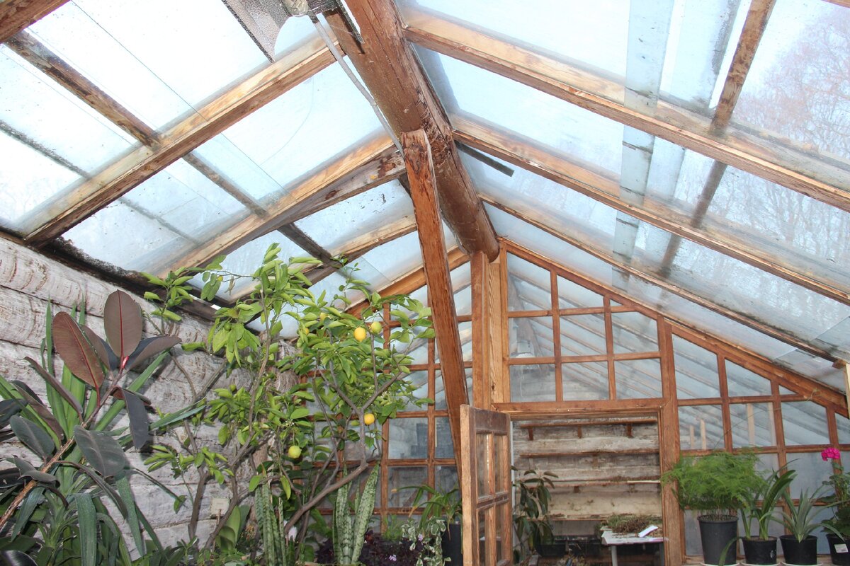 Крыша изнутри до начала работ