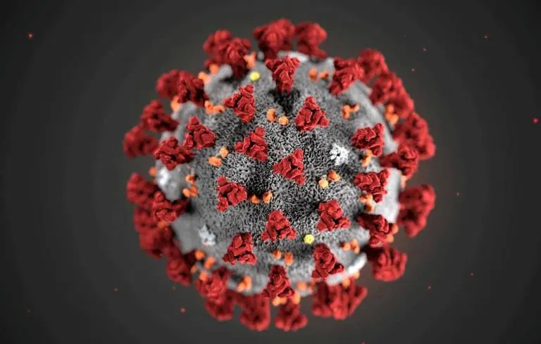 The ultrastructural morphology exhibited by the 2019 Novel Coronavirus (2019-nCoV), which was identified as the cause of an outbreak of respiratory illness first detected in Wuhan, China, is seen in an illustration released by the Centers for Disease Control and Prevention (CDC) in Atlanta, Georgia, U.S. January 29, 2020. Alissa Eckert, MS; Dan Higgins, MAM/CDC/Handout via REUTERS. THIS IMAGE HAS BEEN SUPPLIED BY A THIRD PARTY. THIS IMAGE WAS PROCESSED BY REUTERS TO ENHANCE QUALITY, AN UNPROCESSED VERSION HAS BEEN PROVIDED SEPARATELY.MANDATORY CREDIT