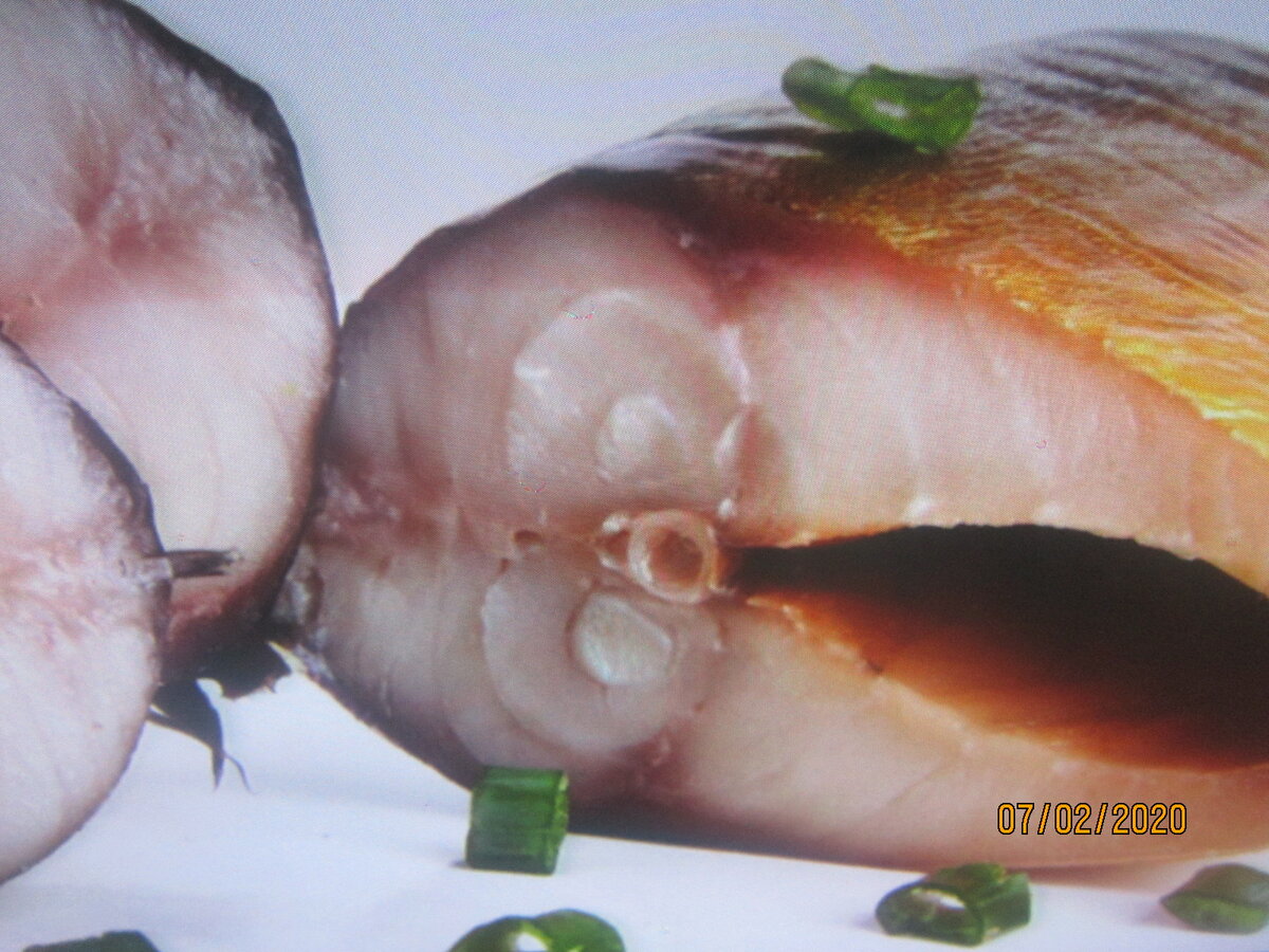 Рыбка с дымком в домашних условиях.