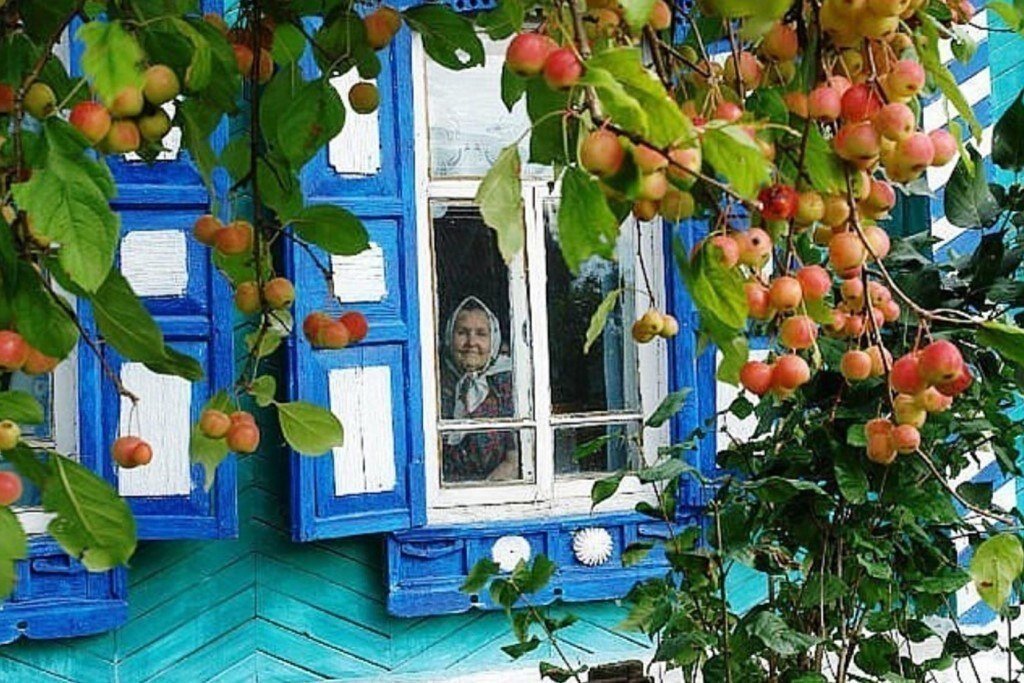 Домик С Окнами В Сад фото 7