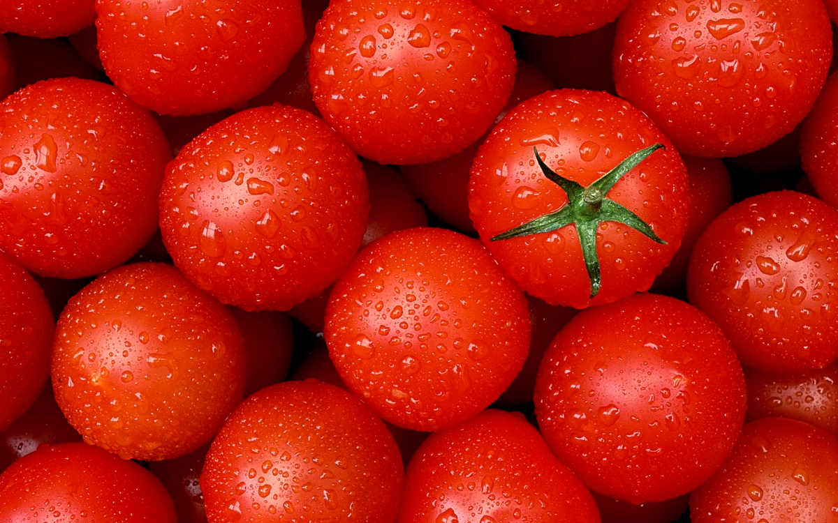 В результате, вместо ожидаемого обильного урожая вкусных спелых помидоров, созревает всего несколько плодов. 