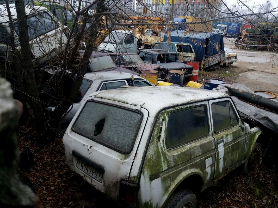 Автобаза в Нахабино с огромным количеством старых брошенных грузовиков |  Все о грузовиках – Trucksplanet | Дзен