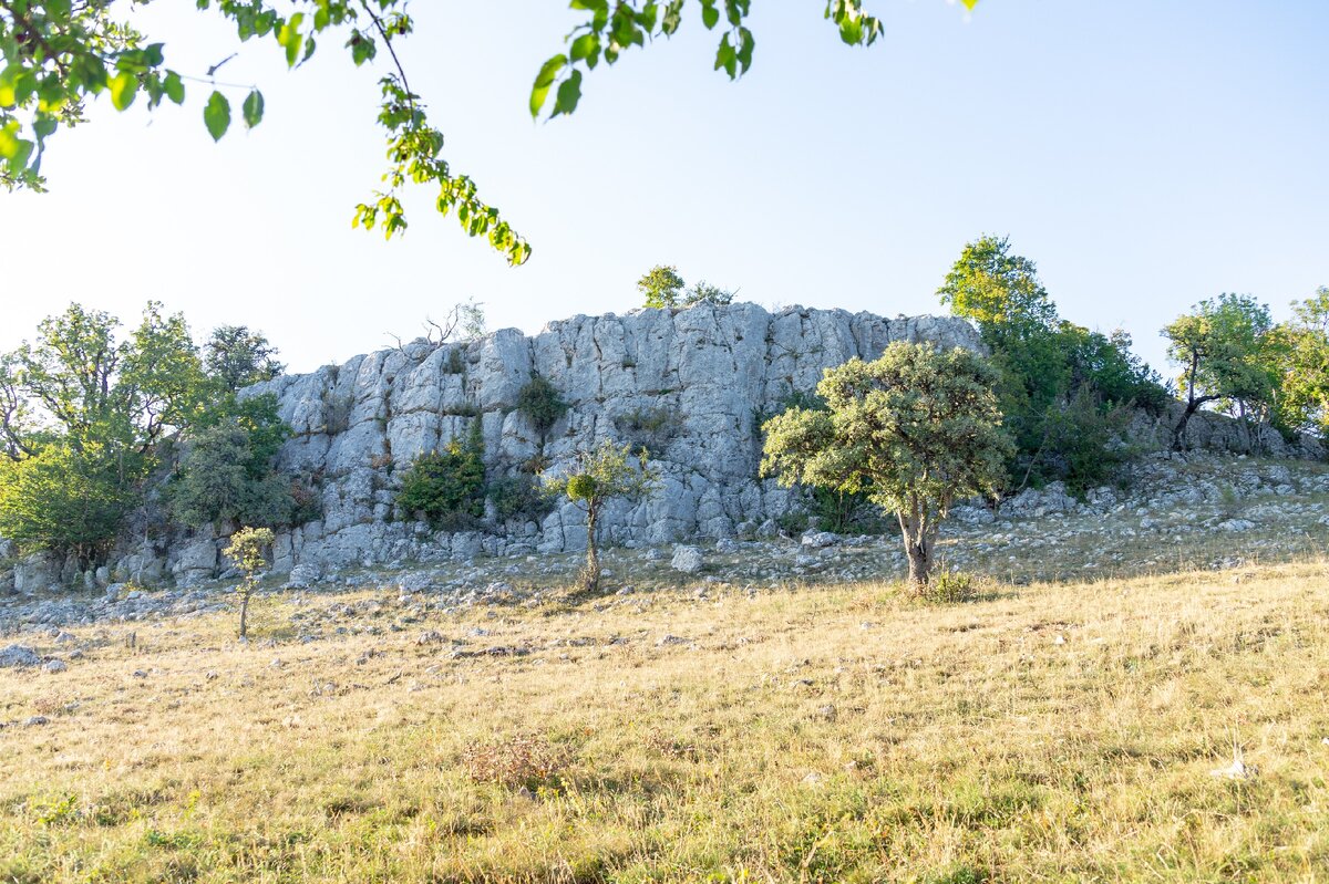 1. Южный обрыв горы Кюзюткан-топчан (для подъёма на вершину его нужно обойти с востока). Вскоре во время спуска с горы на юг по слабо читаемым тропам я наблюдал кабанов.