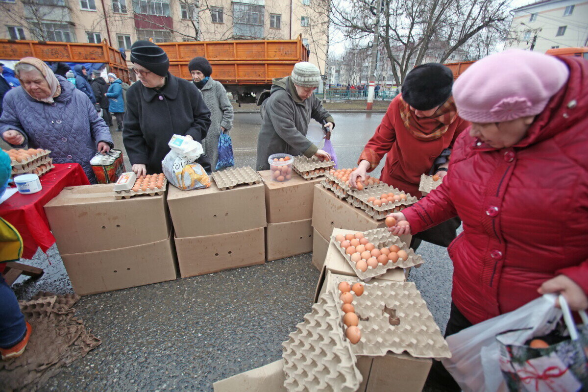 Фото из открытого источника (https://stolica-s.su/news/society/192988)