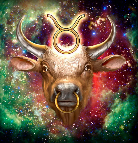 Фотография взята из открытого источника в интернете 