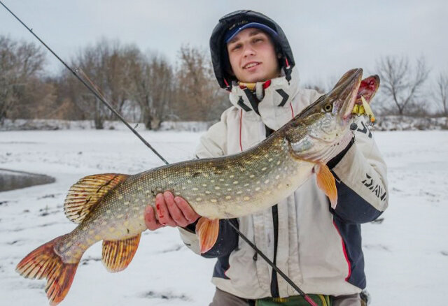 Источник - Google Pictures