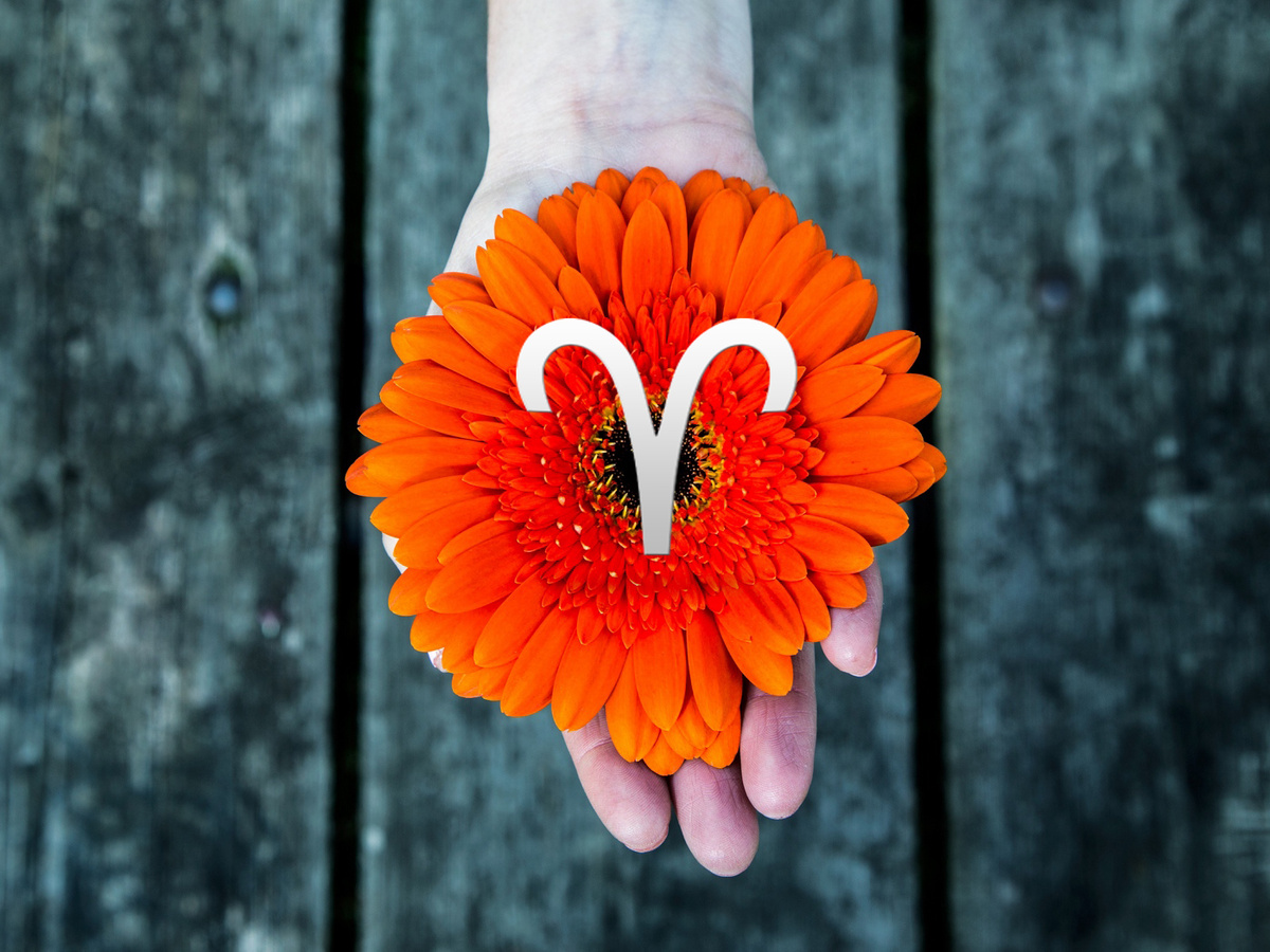 Астрологический прогноз-гороскоп, предсказание для знака зодиака Овен с 23-29 марта.