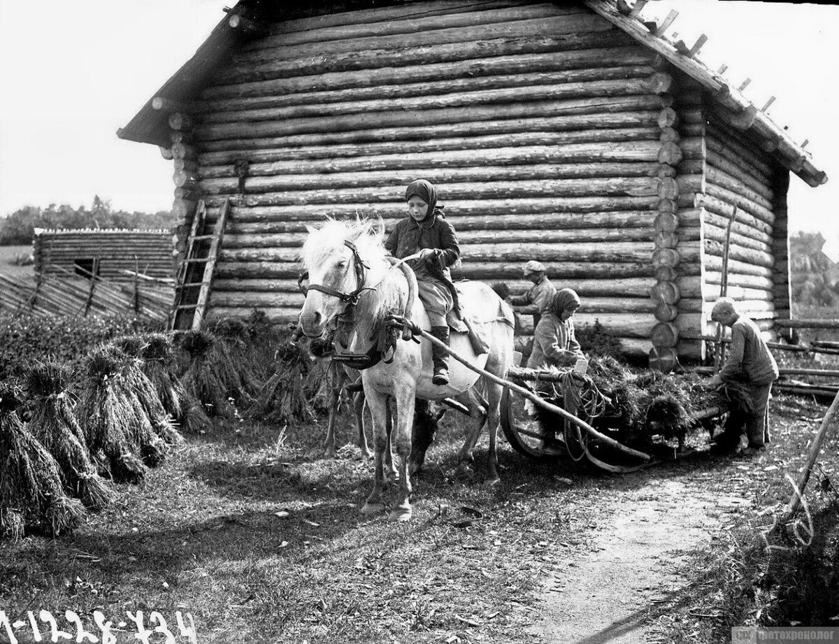 Хотеново. 1920г.