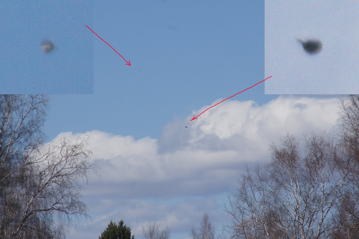 Завидовский государственный заповедник 28.04.2020