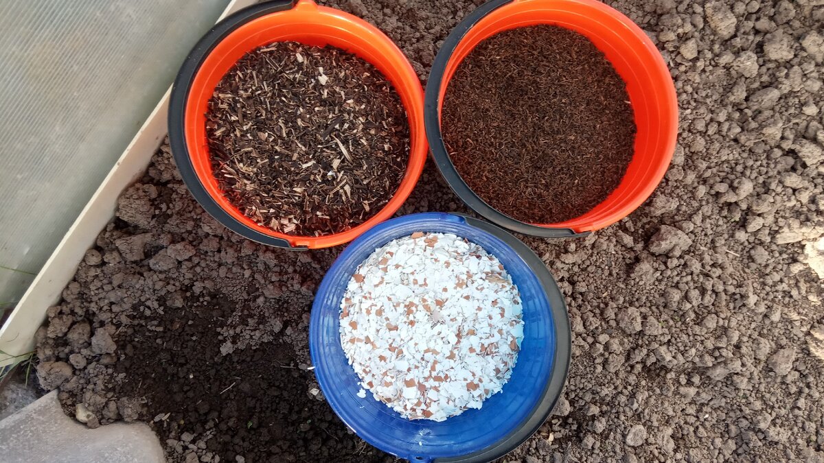 Уже использовала их при посадке рассады в теплицу - в них высушенные чай,  банановые корки и яичная скорлупа