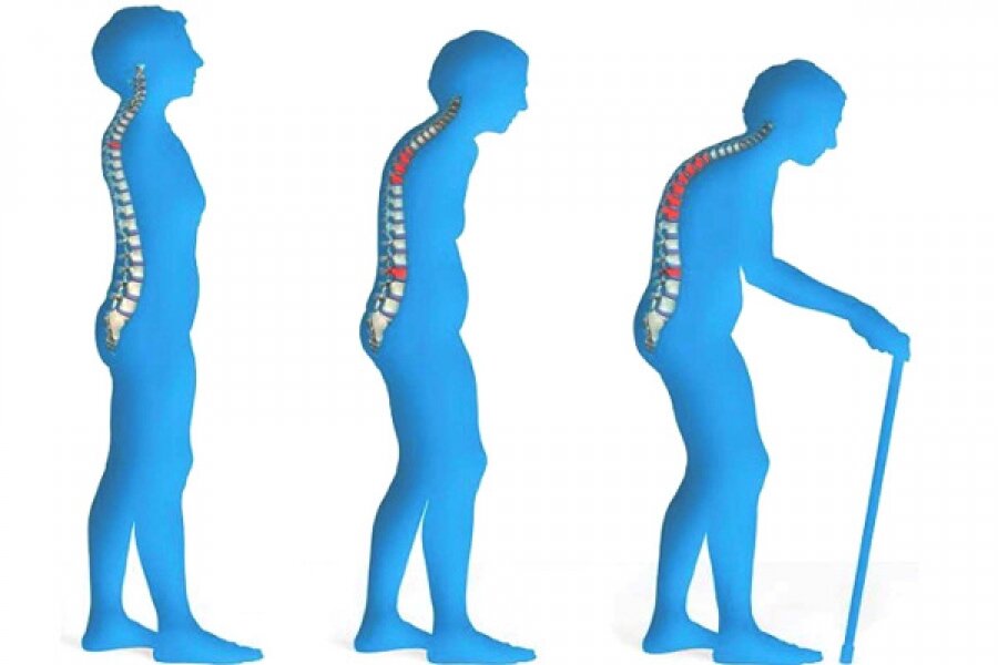 Фото взято из открытых источников