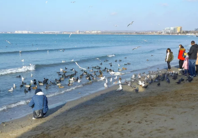 Фотография взята из источника yandex.ru