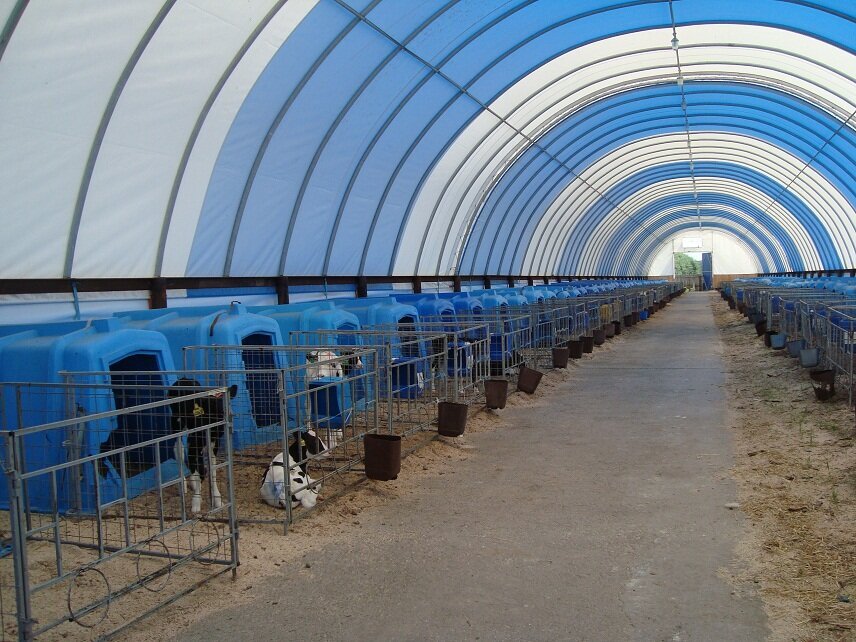 Фото: собственные источники