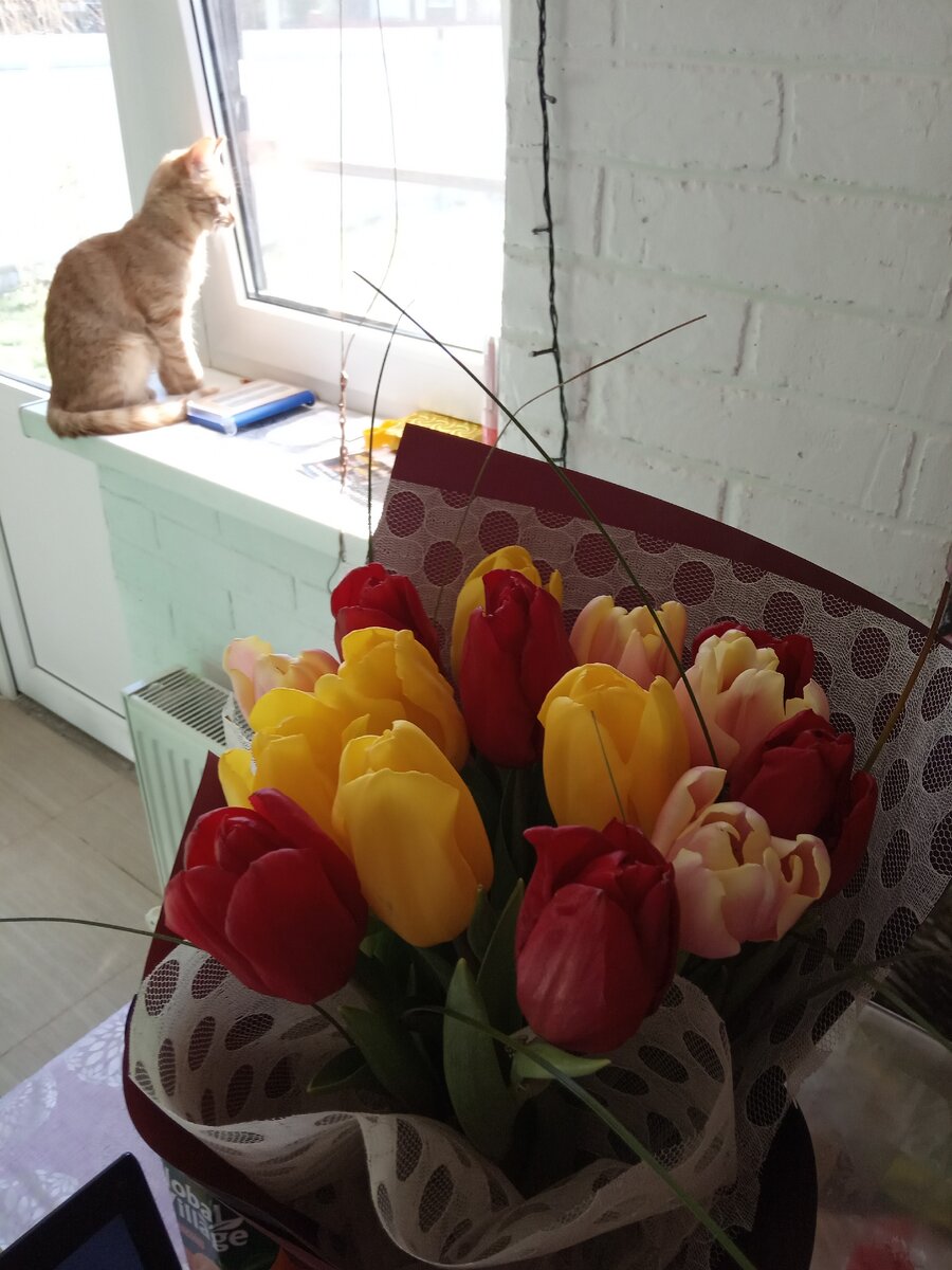 Фото мое. Из весеннего.