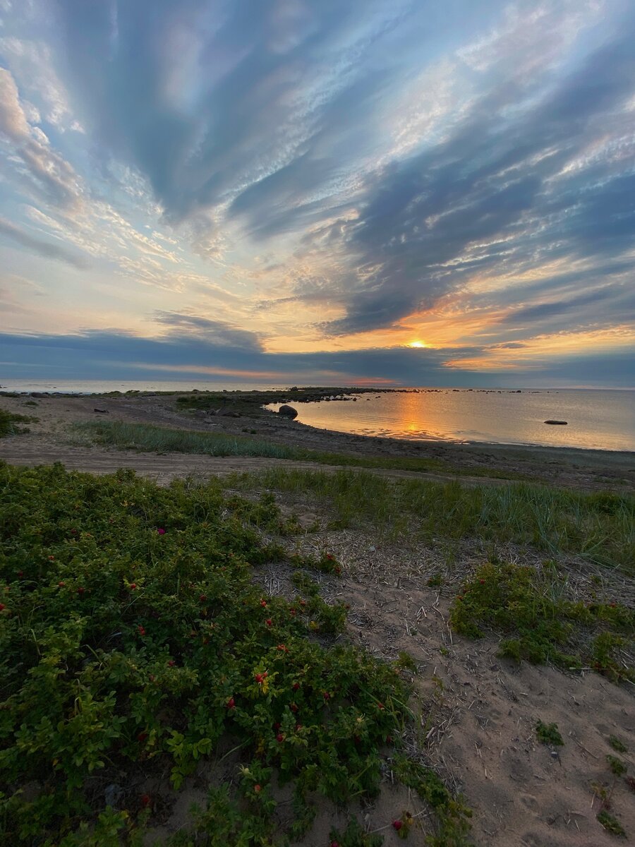 Даже не знаю, какие фотографии сюда загружать - их под сотню, все красивые, но весьма однотипные.